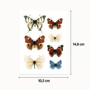 Tattoo real butterfly